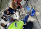Einen Vormittag lang Umwelttechnische Assistentinnen: Eine Gruppe von Mädchen entnahm Gewässerproben am Roten Main...