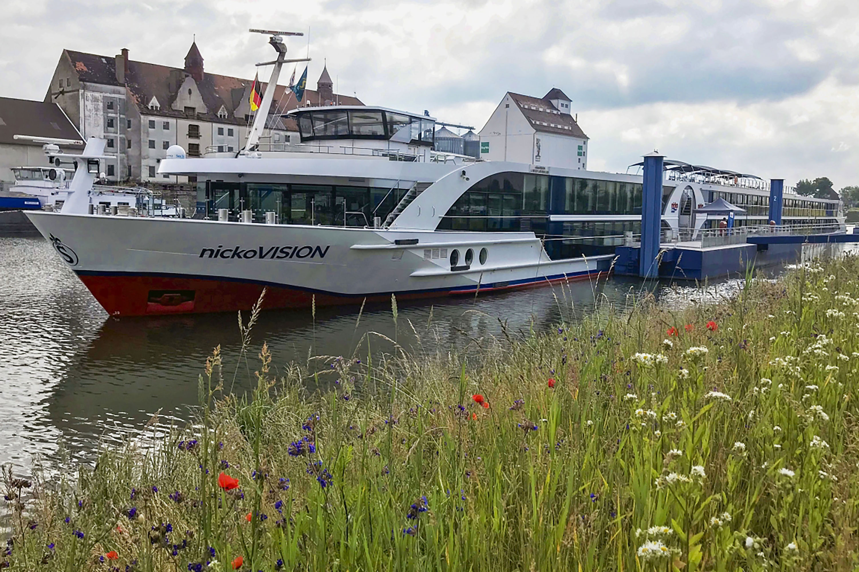 Ein Kreuzfahrtschiff liegt vor Anker in einem Hafen. Im Hintergrund Häuser, im Vordergrund eine Blumenwiese.