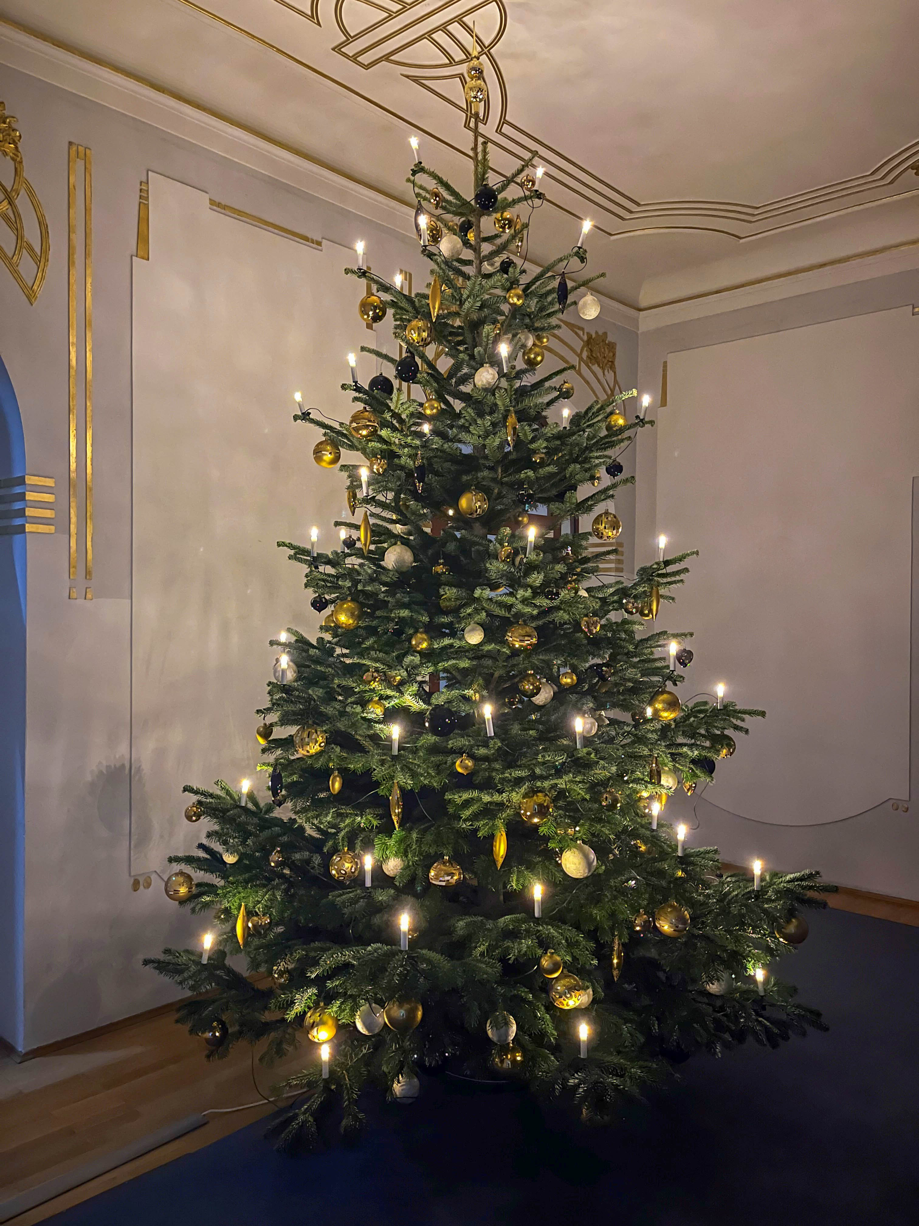 geschmückter Weihnachtsbaum im Foyer der Regierung von Oberfranken in Bayreuth