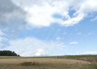 Landschaft bei Hauenreuth im Landkreis Bayreuth mit herausretuschierten Bäumen