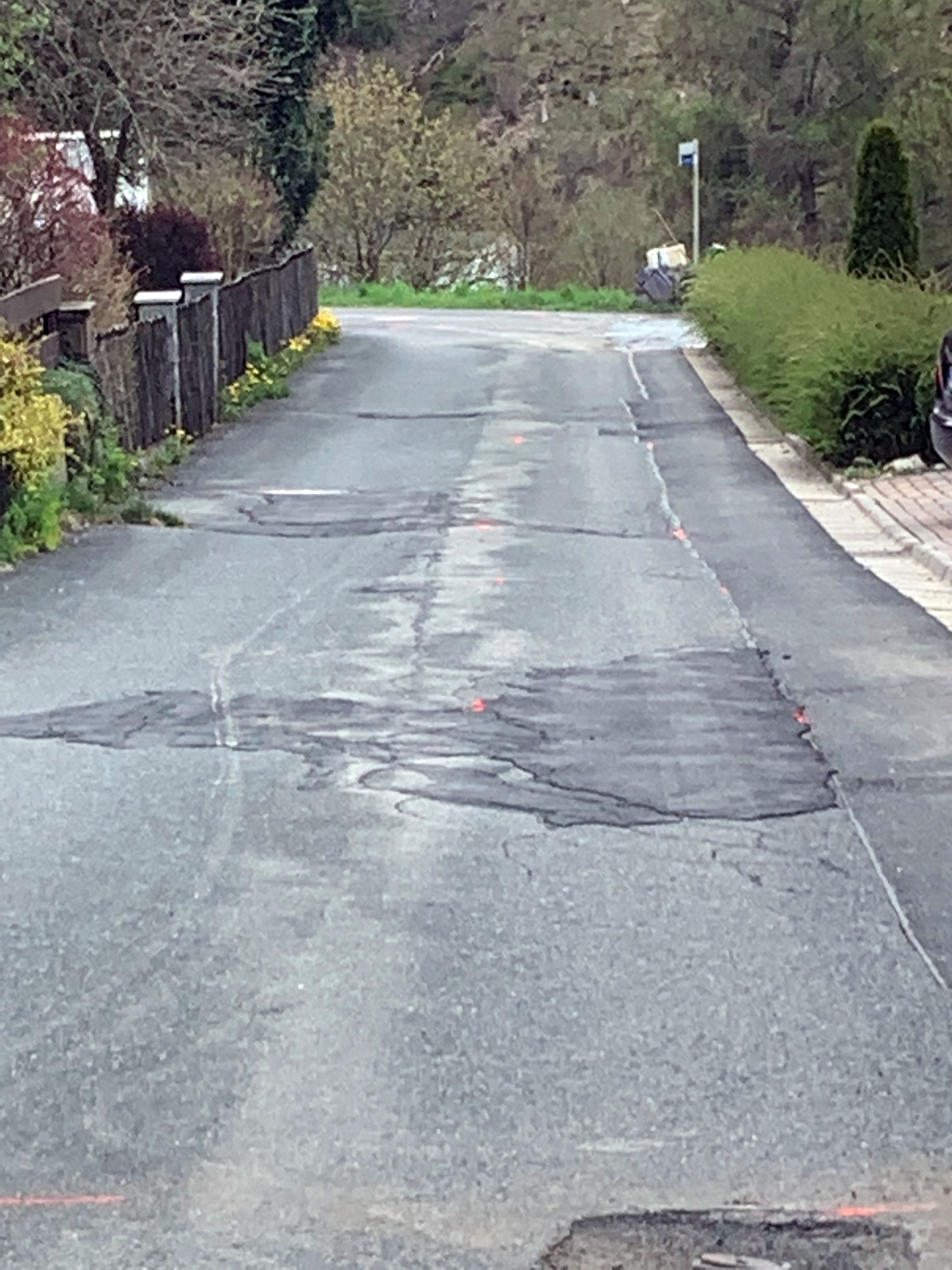 "Fliederweg" in Langenau mit den Schäden im Bestand "Fliederweg" in Langenau mit den Schäden im Bestand