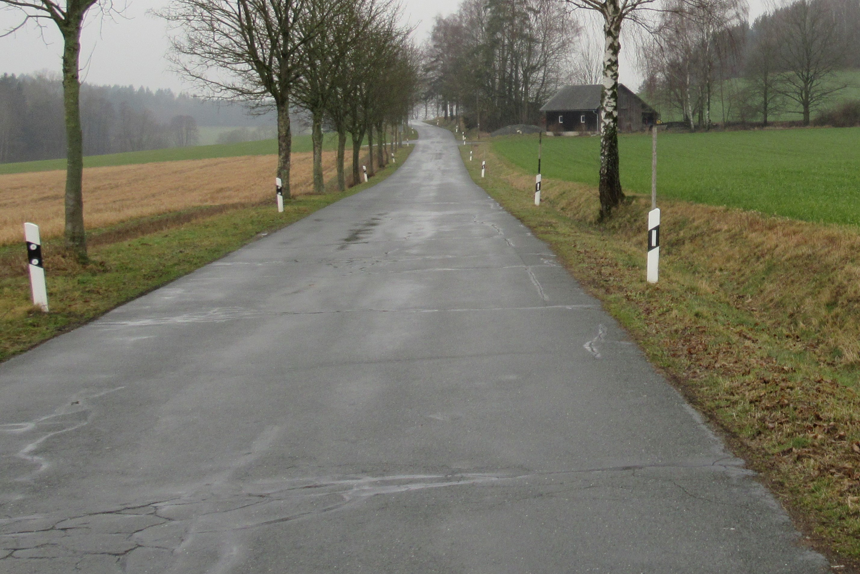 Gemeindeverbindungsstraße zwischen der HO 35 und Weickenreuth mit den Schäden im Bestand.