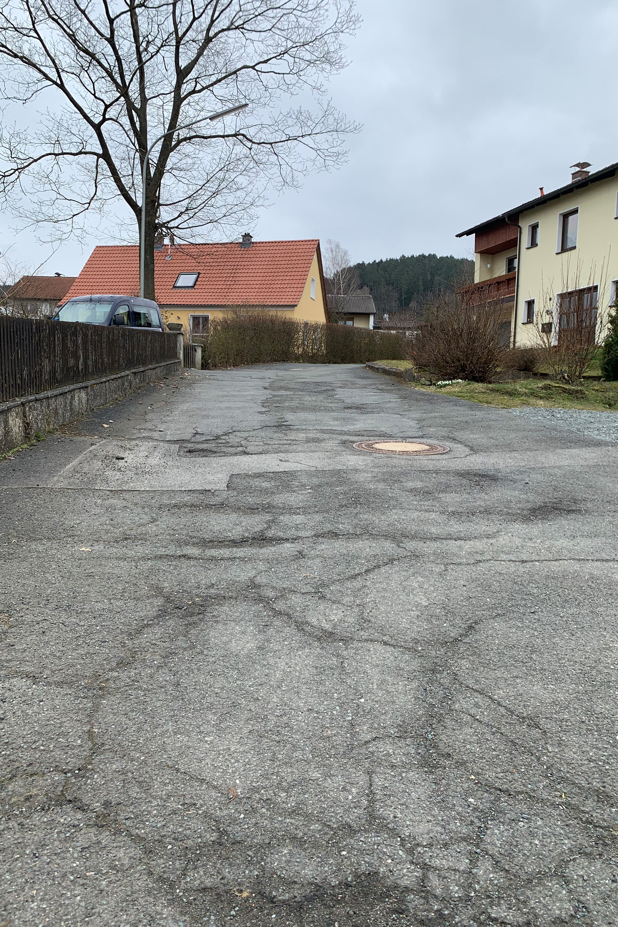 Ortsstraße in Eichenbühl mit den Schäden im Bestand.
