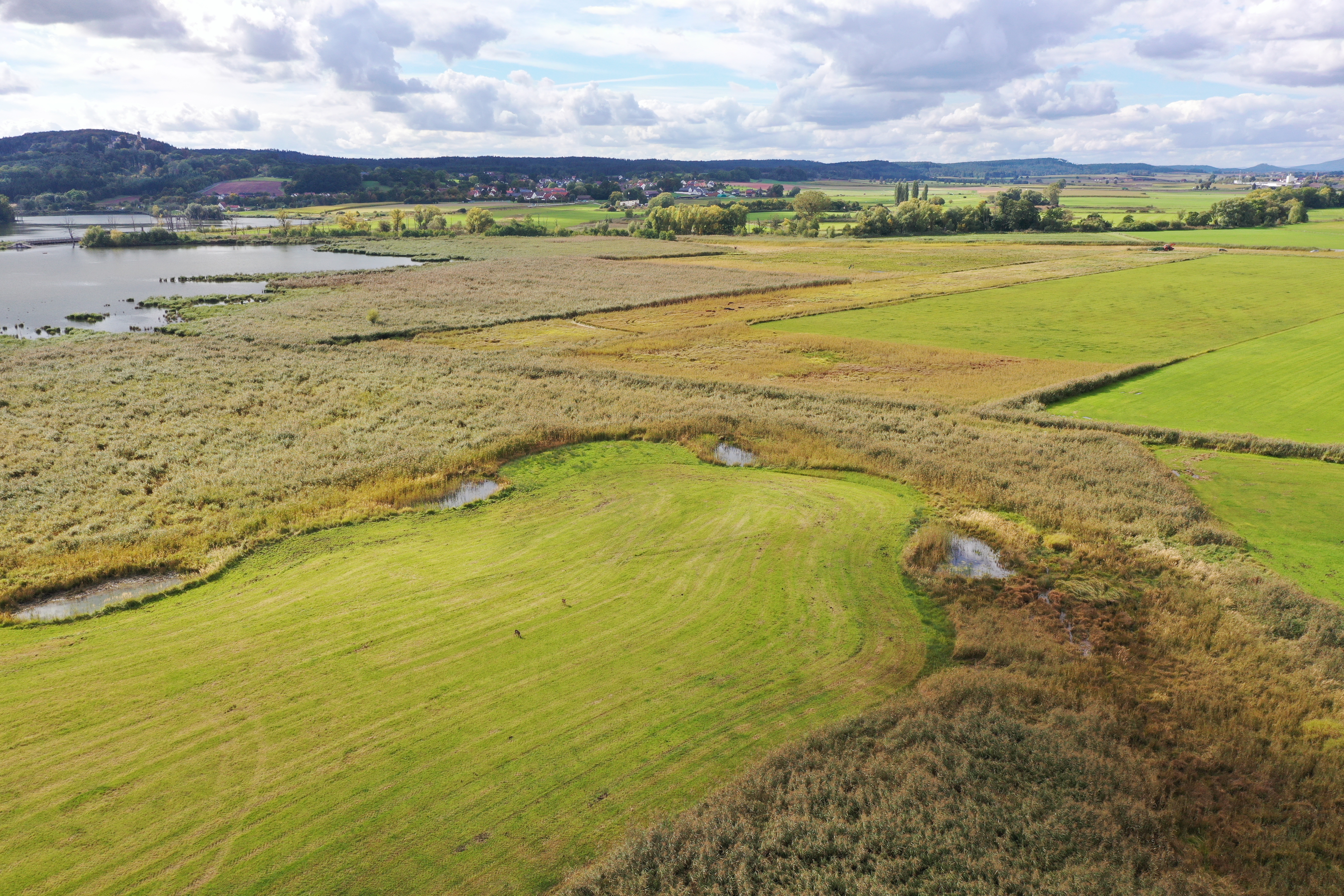 Blick in das Naturschutzgebiet Glender Wiesen mit
nördlichem Teil des Goldbergsees Blick in das Naturschutzgebiet Glender Wiesen mit
nördlichem Teil des Goldbergsees