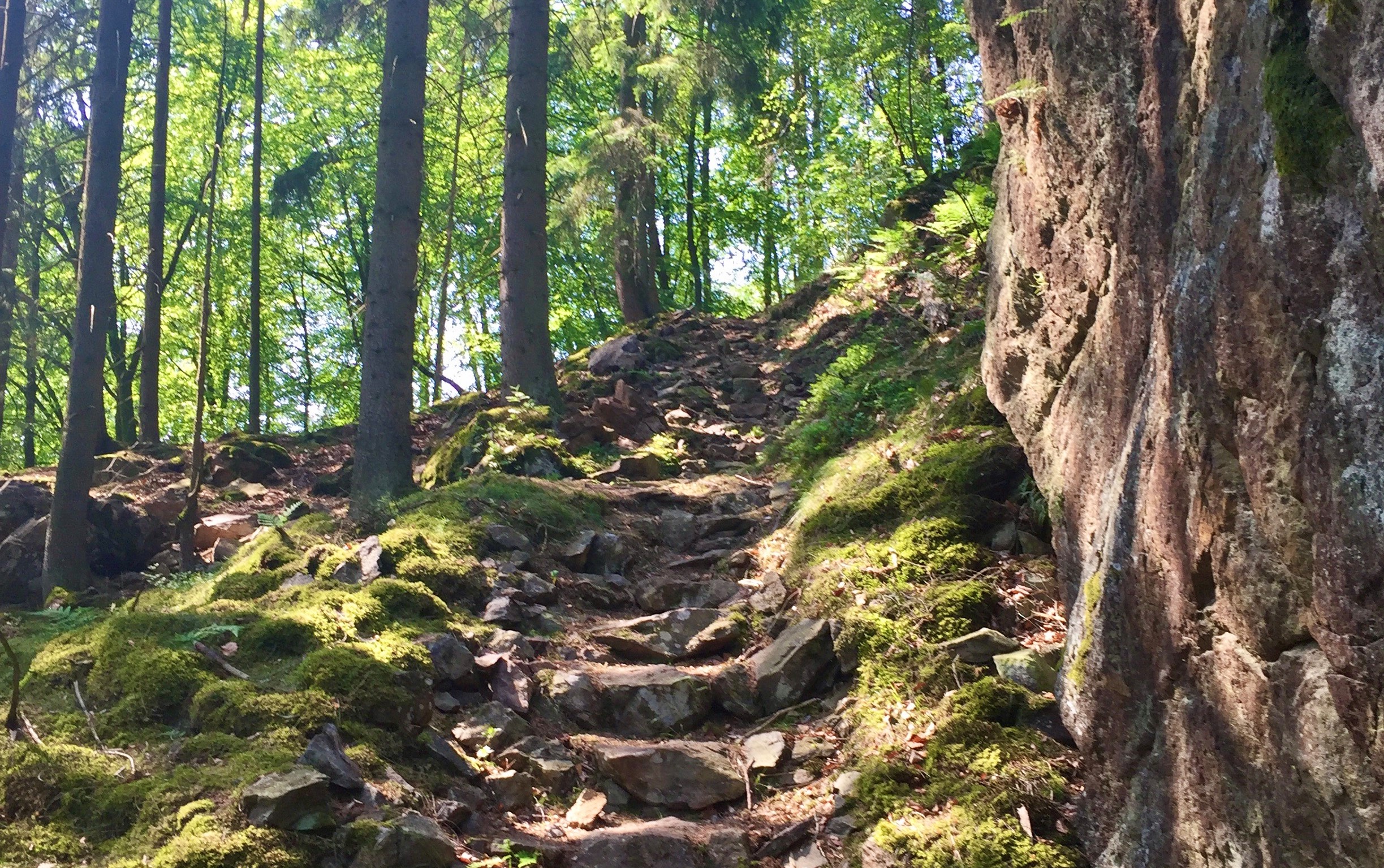 Auf dem Jägersteig Schattiger Felspfad im Wald