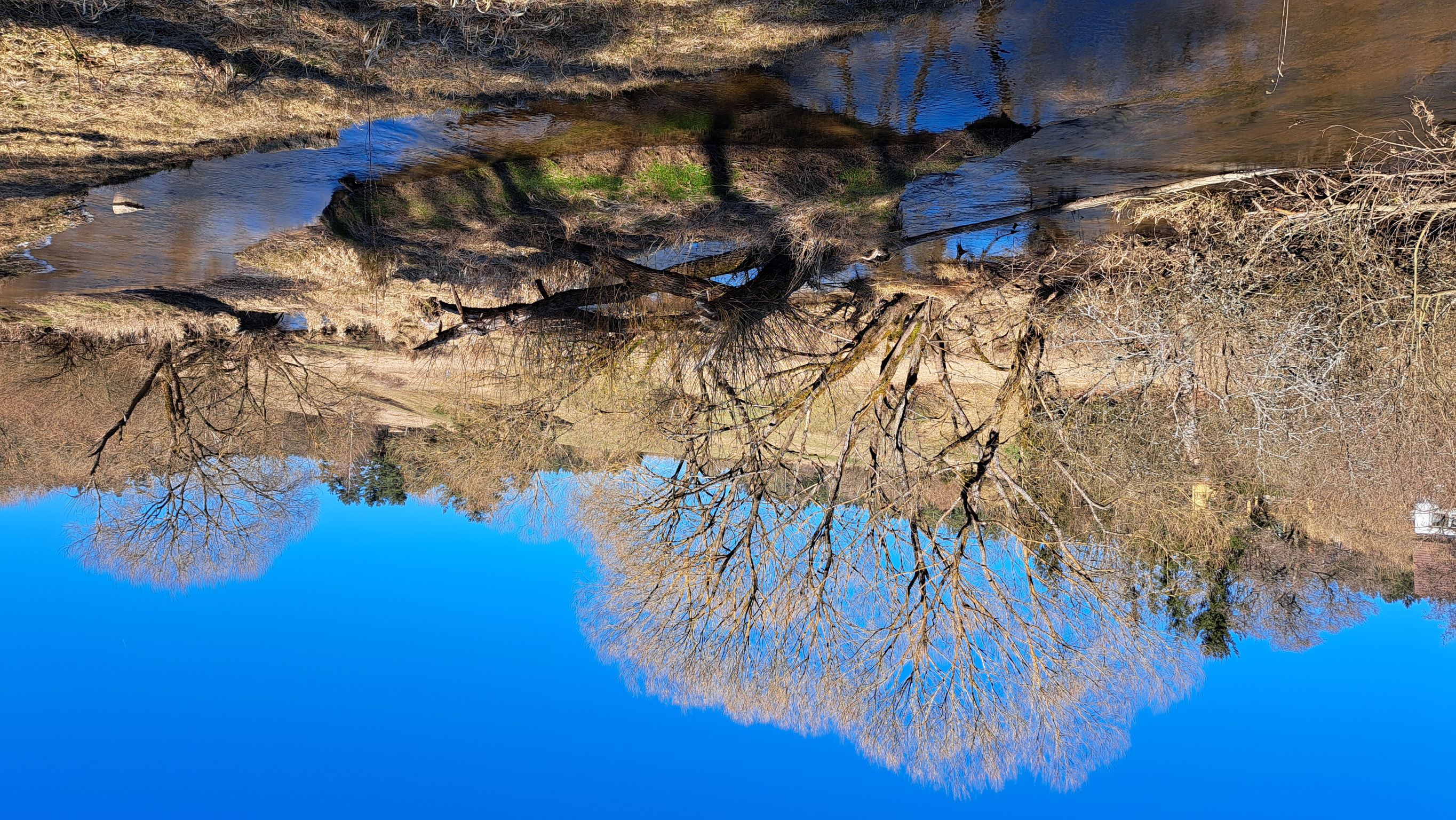 Entlang der Eger Natur an der Eger