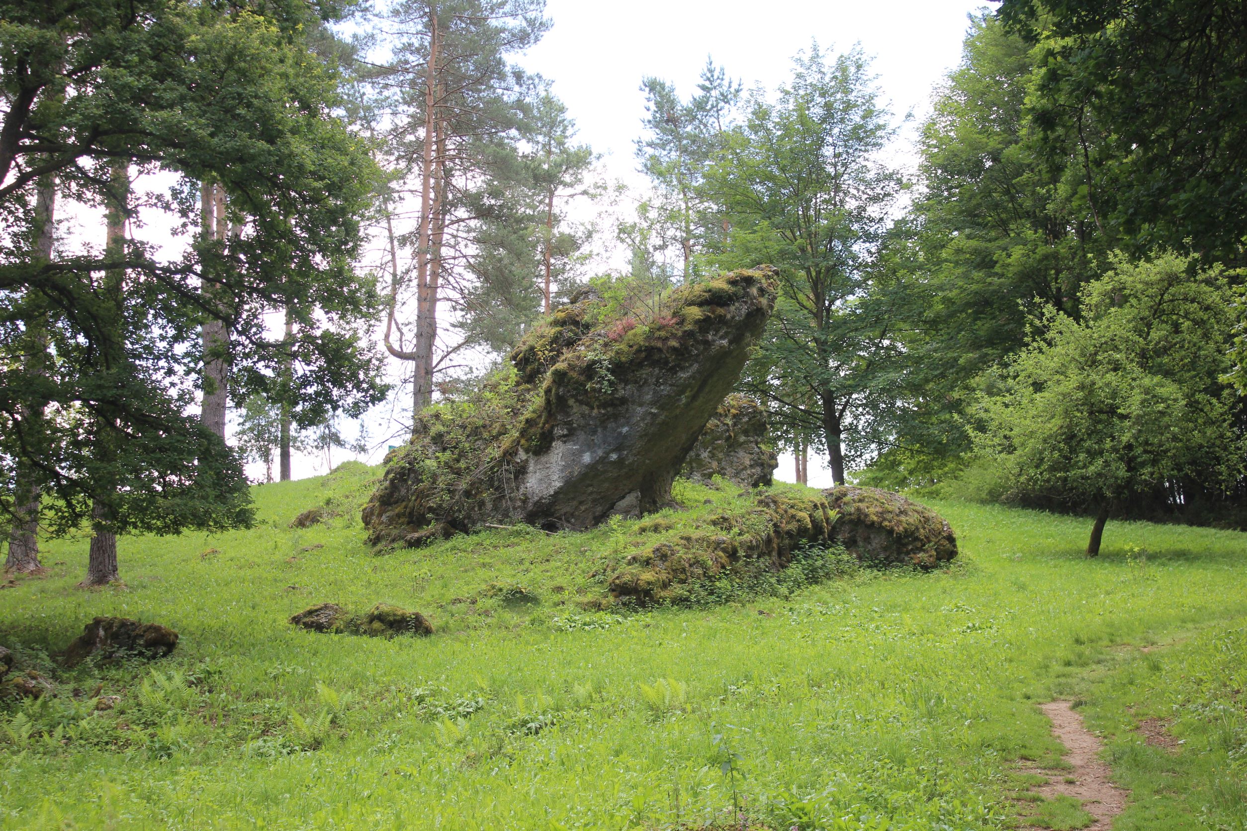 Leidingshofer Tal Bemooster Fels in grüner Waldlandschaft