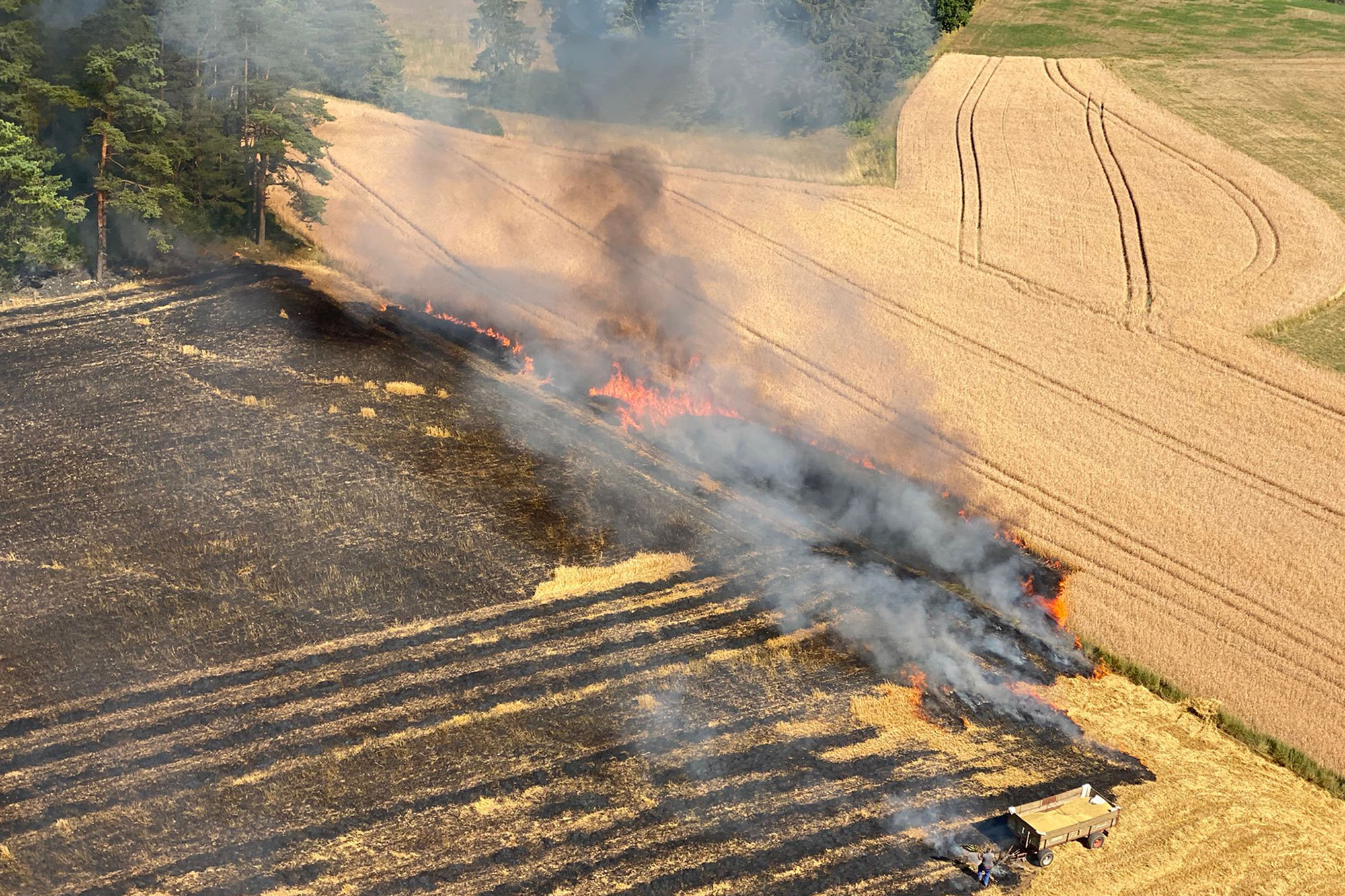 Ein brennendes Feld unweit eines Waldgebiets in Oberfranken.