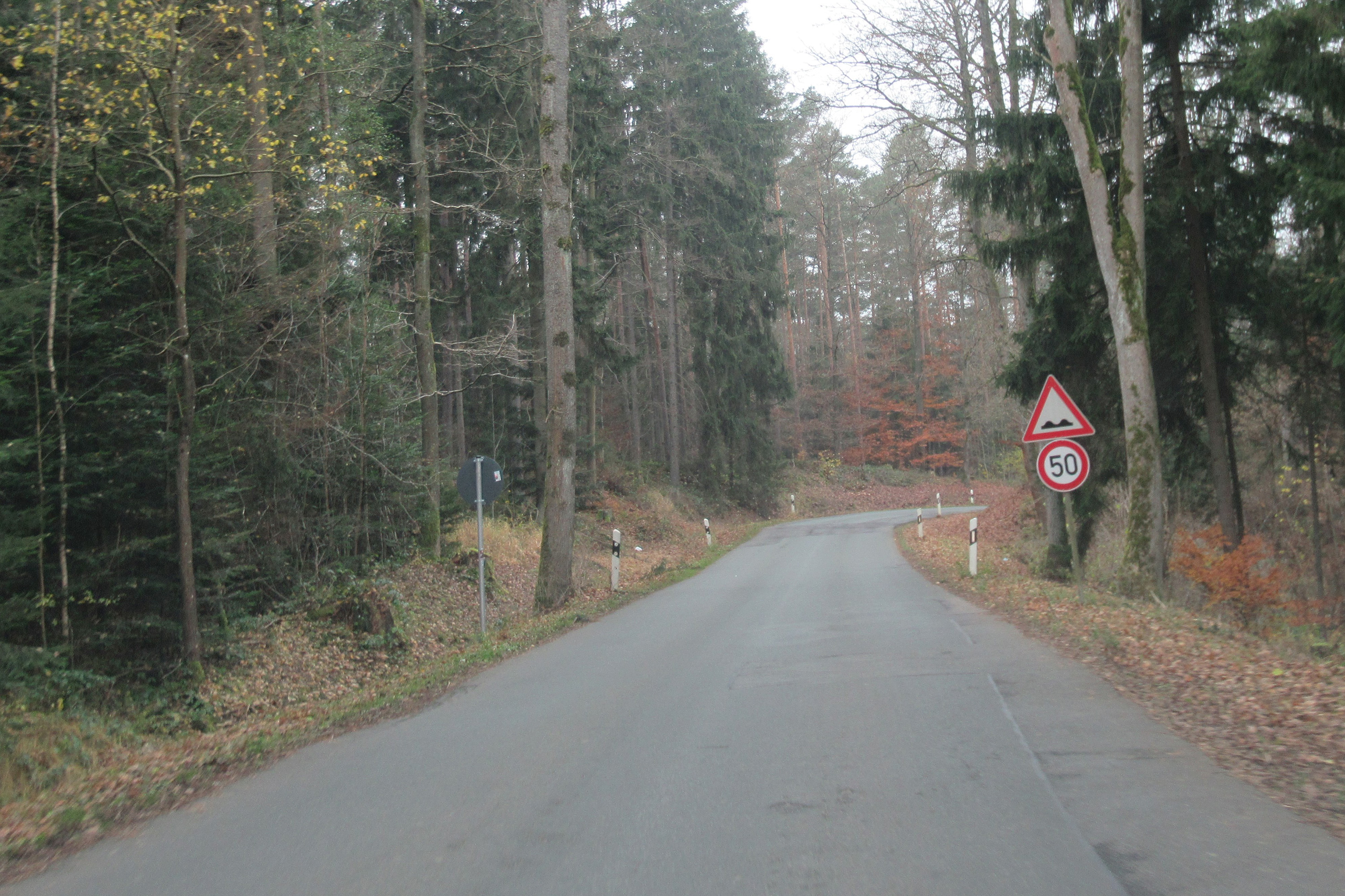 Der schlechte Straßenzustand der Gemeindeverbindungsstraße zwi-
schen Lichtenfels und der Einmündung nach Degendorf.