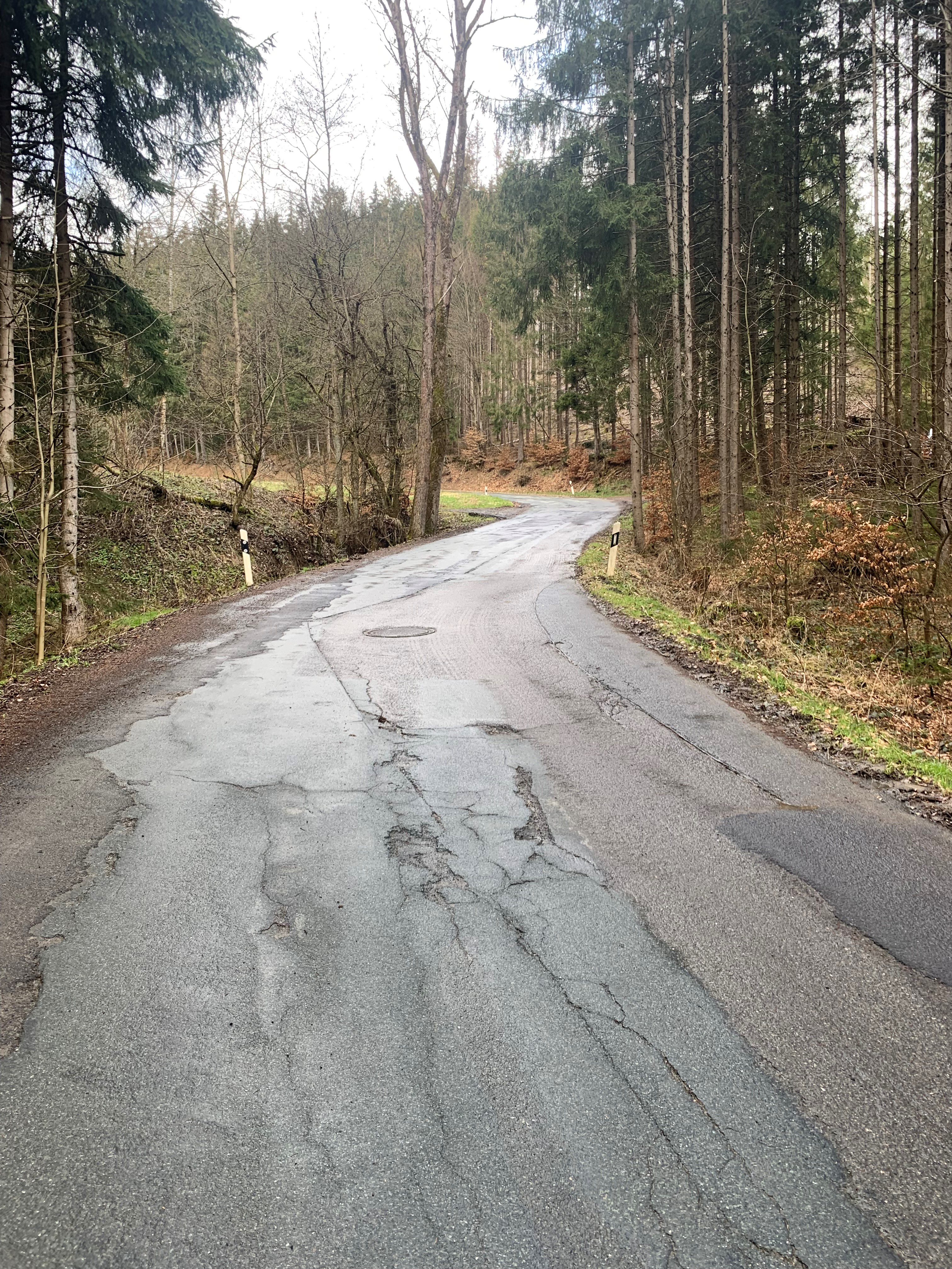 Gemeindeverbindungsstraße zwischen Lorchenmühle und Hintere Schnaid mit den Schäden im Bestand