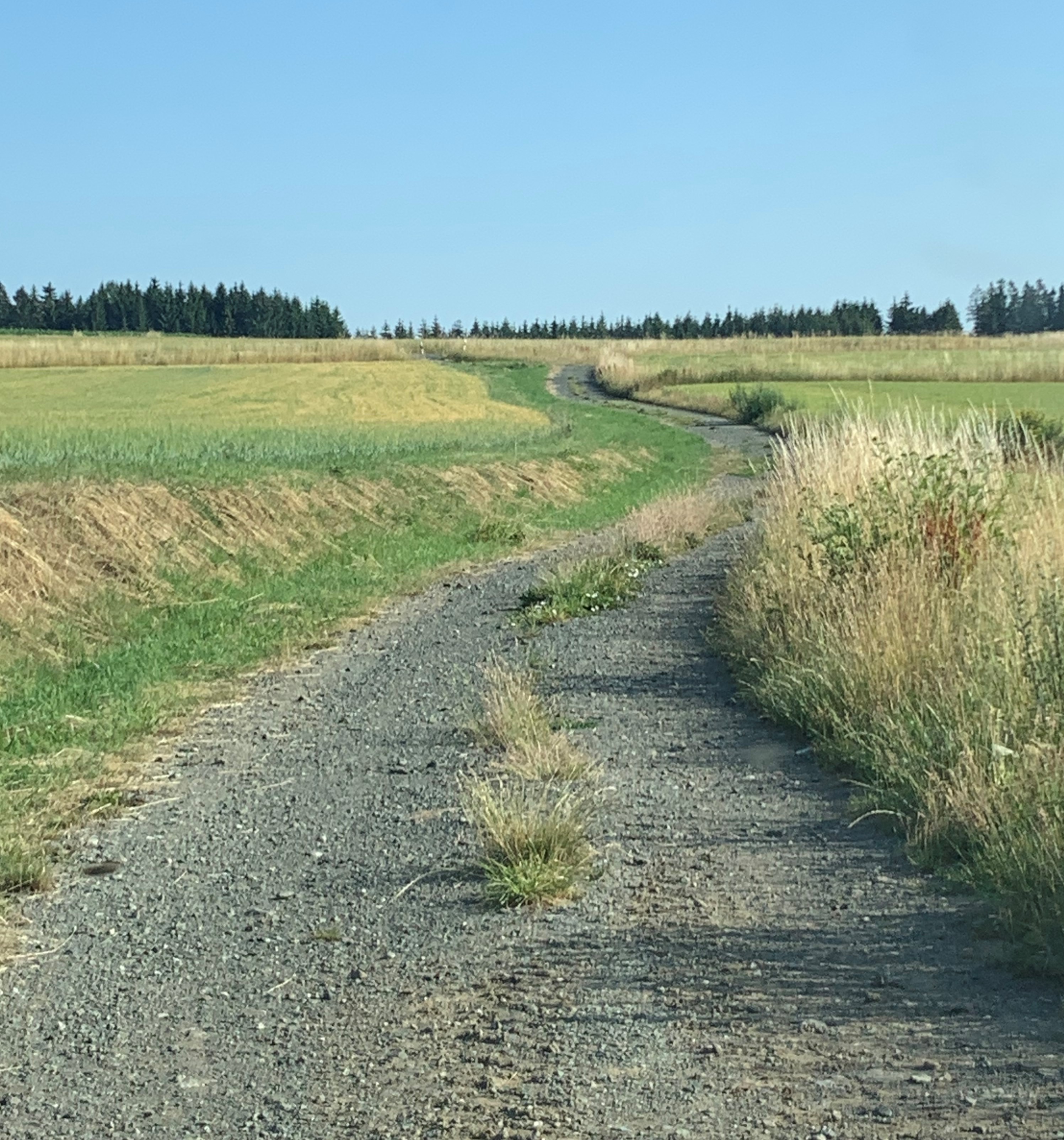 Unbefestigter öffentlicher Feld- und Waldweg zwischen Schödlas und Poppenreuth vor dem Ausbau Unbefestigter öffentlicher Feld- und Waldweg zwischen Schödlas und Poppenreuth vor dem Ausbau