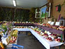 Bergner Obstmarkt Weihern