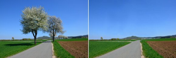 Landschaft bei Unterneuses mit Kirschbaumallee und ohne.