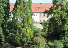 Blick auf den Baumbestand im Präsidentengärtlein und die alte Stadtmauer